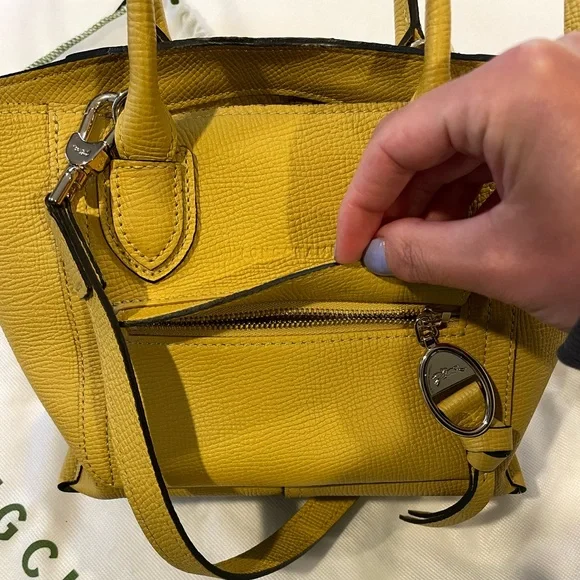 Longchamp Small Mailbox Leather Crossbody Bag